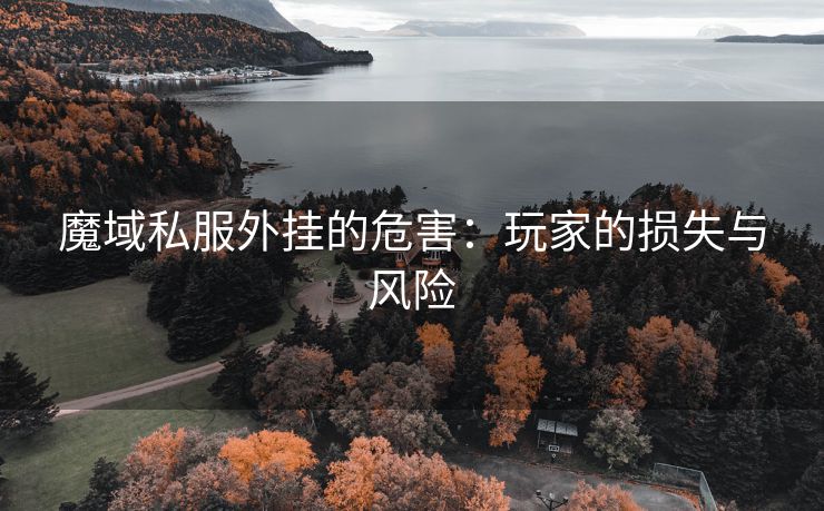 魔域私服外挂的危害：玩家的损失与风险